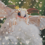 「 ⁎ * ⁎ The Moth Qwingdom ⁎ * ⁎ 」