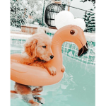 Friends who have fun