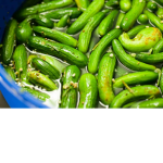pickles epic gang