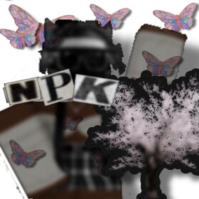 NPK HOMESTORE  ⋆｡˚ ☁︎ ˚｡⋆｡˚☽˚｡⋆
