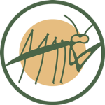 Locust Valley Karate (KL)