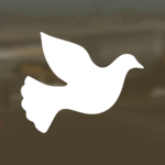 GoldSky Airlines