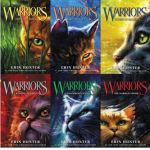 Warrior crtss