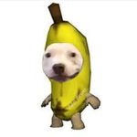 Dont join real im not joking