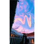 zinc aesthetic