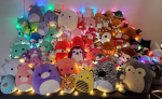 The Amazing SquishMallow Group