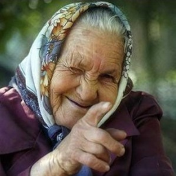 Бабкин огород обби