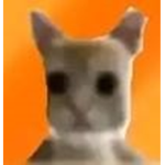 40% camilo