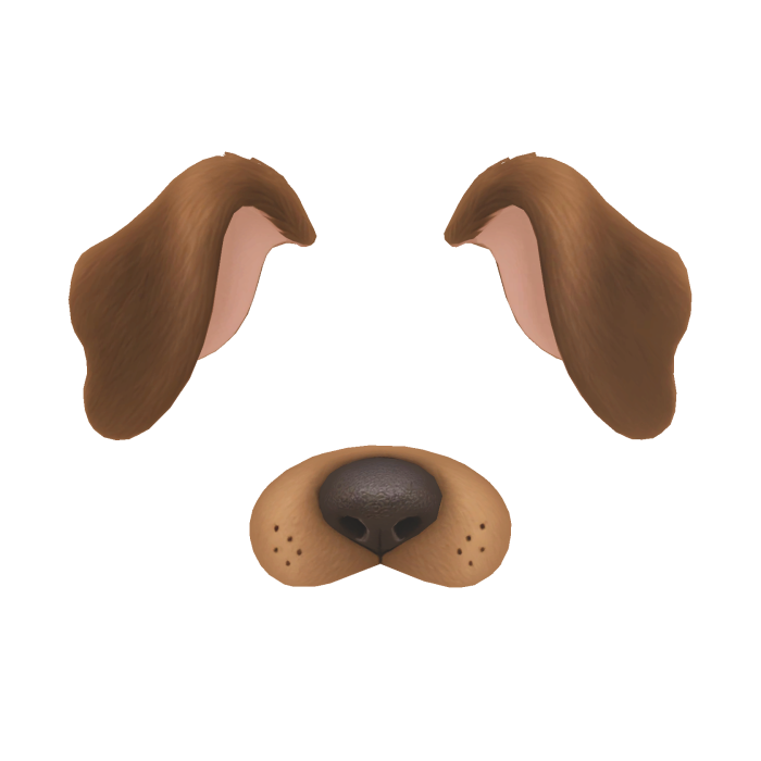 Dog filter