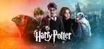 Harry potterr fans