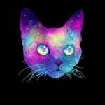Cat Gamerrr