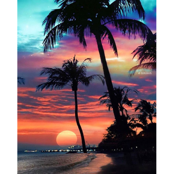 Adoravel Lugar🌒🌒✨✨🍀☘️🌿🌺🌻🌸💐🌙🌚♣♠♦♦