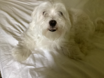 CasperTheCute