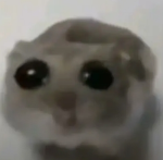 Lily's group payout