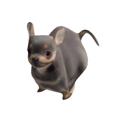 Chihuahua Dog Chancho Meme