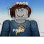 THE PAGS AND TAGS