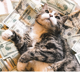 Donation Place {Read Description}