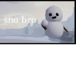 the snow bro team