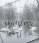 . | saranghae