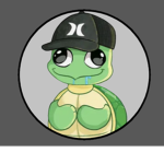 Turtle's Designs