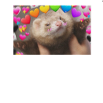 This group is for my BFF