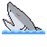 Shark fans group