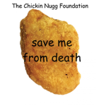 The Chickin Nugg Foundation