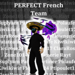 The PERFECT French Team