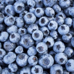 Blueberry Games Studio
