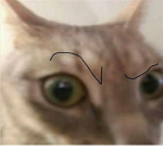 sjkrdgn