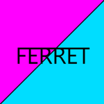 Ferret Studio