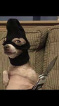 Robbie the doggie