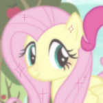 FluttershyFan