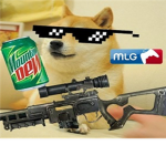 Doge Academy