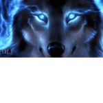 #Wolfs and Devils
