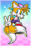 chill fans of tails the fox.
