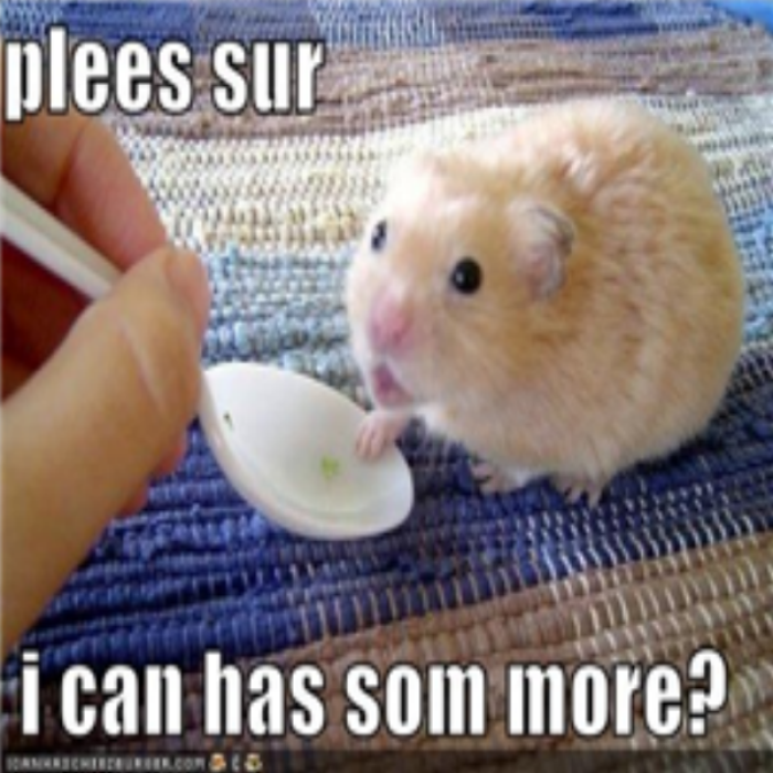 Funny hamster 3 Roblox decal