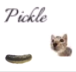 Uhm uh Pickle