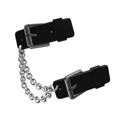 belthairclipAccessory