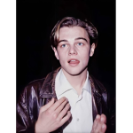 Leonardo DiCaprio fan :)