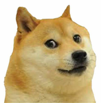 The Classic Doges!