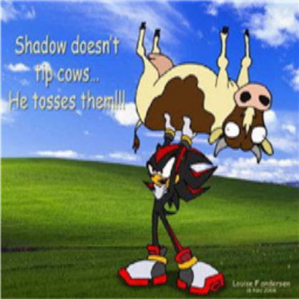 shadow funny picture Roblox decal