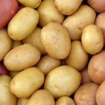 team potato :))))))