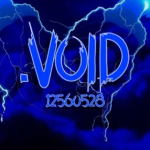 .V0ID