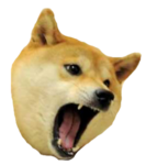 Doge Club Development