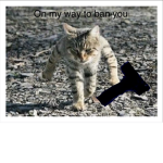 Ban cat gang