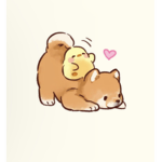 Cutey doggie