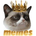 Meme Kings