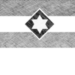 [The New World Order]
