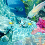 - oceanland -